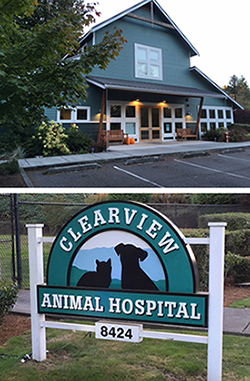 clearview animal hospital prices
